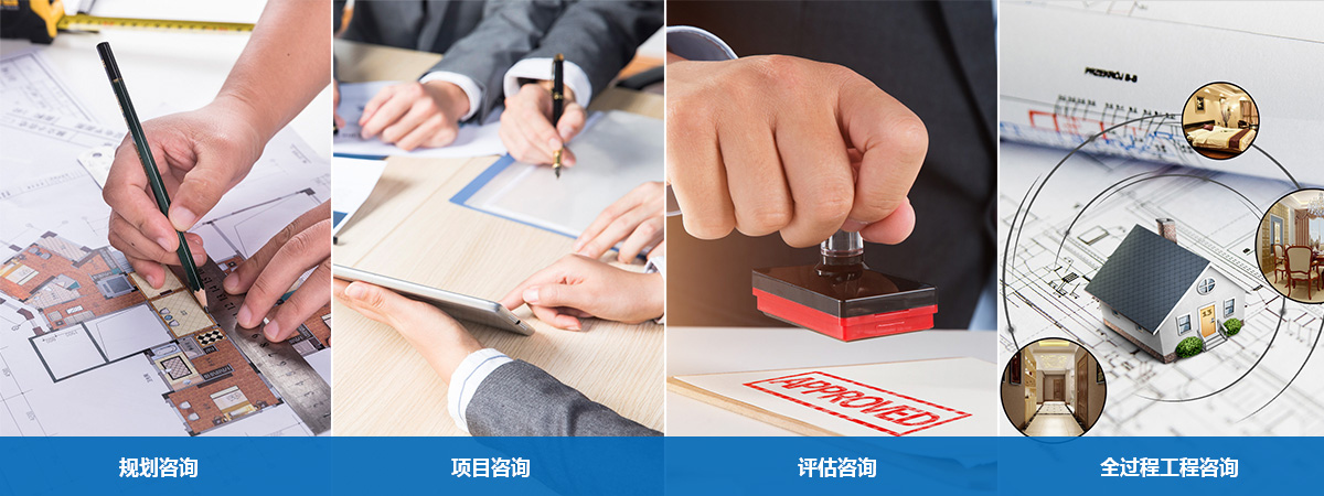 ������ѯ